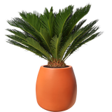 LISBOA PLANTER Fiberglass Planters Gardia Planters Fiberglass planter for indoors and outdoors from big plus size planters and small pots for plants Large and big pots and large containers