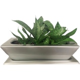 LUXOR PLANTER Fiberglass Planters Gardia Planters Fiberglass planter for indoors and outdoors from big plus size planters and small pots for plants Large and big pots and large containers