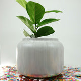 MOROCCO PLANTER Fiberglass Planters Gardia Planters Fiberglass planter for indoors and outdoors from big plus size planters and small pots for plants Large and big pots and large containers
