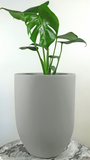 MONACO PLANTER Fiberglass Planters Gardia Planters Fiberglass planter for indoors and outdoors from big plus size planters and small pots for plants Large and big pots and large containers