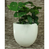 MONACO BOWL PLANTER Fiberglass Planters Gardia Planters Fiberglass planter for indoors and outdoors from big plus size planters and small pots for plants Large and big pots and large containers