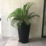 ROUND CONE PLANTER Fiberglass Planters Gardia Planters Fiberglass planter for indoors and outdoors from big plus size planters and small pots for plants Large and big pots and large containers