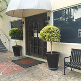 ROUND CONE PLANTER Fiberglass Planters Gardia Planters Fiberglass planter for indoors and outdoors from big plus size planters and small pots for plants Large and big pots and large containers