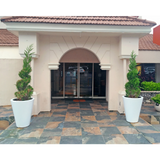 ROUND CONE PLANTER Fiberglass Planters Gardia Planters Fiberglass planter for indoors and outdoors from big plus size planters and small pots for plants Large and big pots and large containers