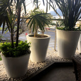 ROUND CONE PLANTER Fiberglass Planters Gardia Planters Fiberglass planter for indoors and outdoors from big plus size planters and small pots for plants Large and big pots and large containers