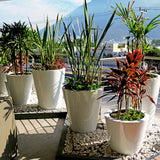 ROUND CONE PLANTER Fiberglass Planters Gardia Planters Fiberglass planter for indoors and outdoors from big plus size planters and small pots for plants Large and big pots and large containers