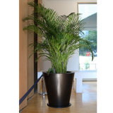 ROUND CONE PLANTER Fiberglass Planters Gardia Planters Fiberglass planter for indoors and outdoors from big plus size planters and small pots for plants Large and big pots and large containers