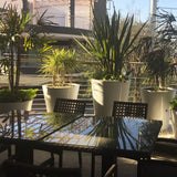 ROUND CONE PLANTER Fiberglass Planters Gardia Planters Fiberglass planter for indoors and outdoors from big plus size planters and small pots for plants Large and big pots and large containers