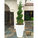 ROUND CONE PLANTER Fiberglass Planters Gardia Planters Fiberglass planter for indoors and outdoors from big plus size planters and small pots for plants Large and big pots and large containers