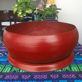 CANCUN BOWL PLANTER Fiberglass Planters Gardia Planters Fiberglass planter for indoors and outdoors from big plus size planters and small pots for plants Large and big pots and large containers