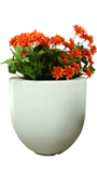 MONACO BOWL PLANTER Fiberglass Planters Gardia Planters Fiberglass planter for indoors and outdoors from big plus size planters and small pots for plants Large and big pots and large containers