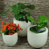 MONACO BOWL PLANTER Fiberglass Planters Gardia Planters Fiberglass planter for indoors and outdoors from big plus size planters and small pots for plants Large and big pots and large containers