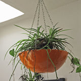 PENDANT VENICE PLANTER Fiberglass Planters Gardia Planters Fiberglass planter for indoors and outdoors from big plus size planters and small pots for plants Large and big pots and large containers