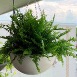 PENDANT VENICE ROUND PLANTER Fiberglass Planters Gardia Planters Fiberglass planter for indoors and outdoors from big plus size planters and small pots for plants Large and big pots and large containers