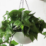 PENDANT VENICE ROUND PLANTER Fiberglass Planters Gardia Planters Fiberglass planter for indoors and outdoors from big plus size planters and small pots for plants Large and big pots and large containers