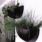 WALL VENICE PLANTER Fiberglass Planters Gardia Planters Fiberglass planter for indoors and outdoors from big plus size planters and small pots for plants Large and big pots and large containers