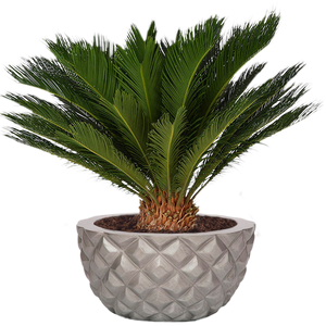 FLORENCE PLANTER Fiberglass Planters Gardia Planters Fiberglass planter for indoors and outdoors from big plus size planters and small pots for plants Large and big pots and large containers