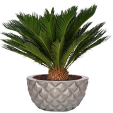 FLORENCE PLANTER Fiberglass Planters Gardia Planters Fiberglass planter for indoors and outdoors from big plus size planters and small pots for plants Large and big pots and large containers
