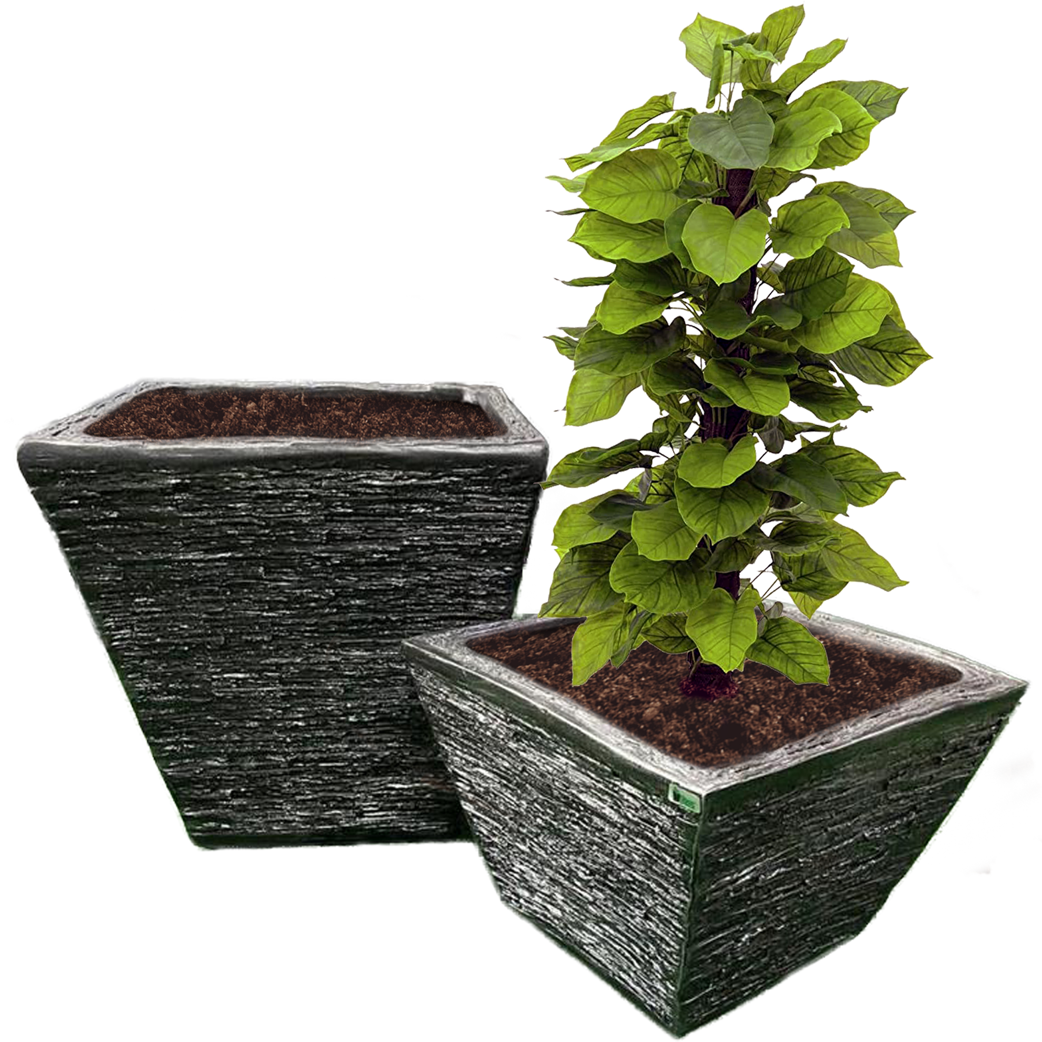 Matanna Indoor Pot Planter