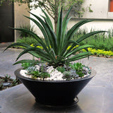 SMOOTH BOWL PLANTER Fiberglass Planters Gardia Planters Fiberglass planter for indoors and outdoors from big plus size planters and small pots for plants Large and big pots and large containers